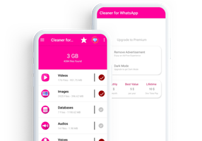 Boxinall Projet -