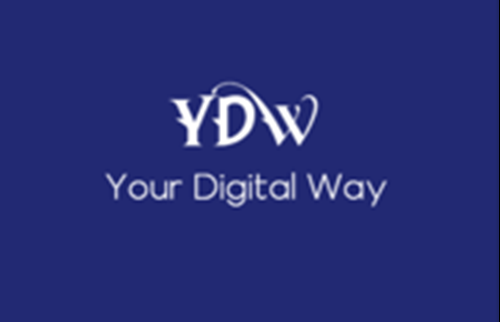 Your Digital Way - Best SEO & Web Experts in USALogo