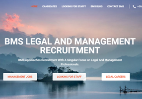 Goldfish SEO Projet - BMS Recruitment, conception web, développement et SEO