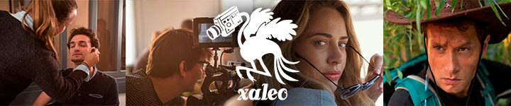 xaleo studio Headerbild