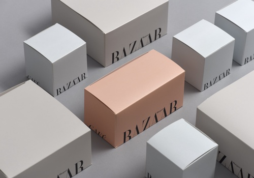 Design & Practice Projet -