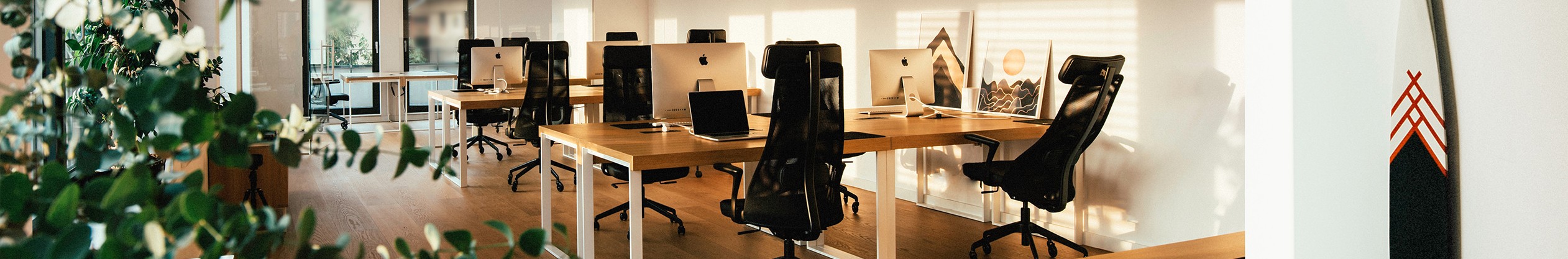 Creative Navy Headerbild