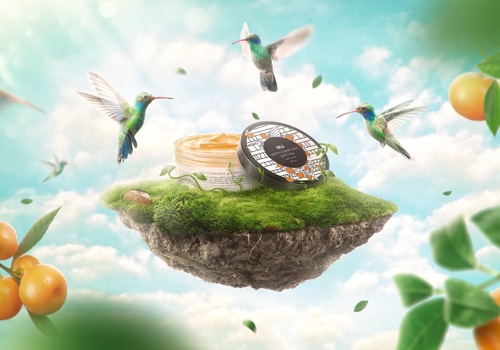 Looma Projet -