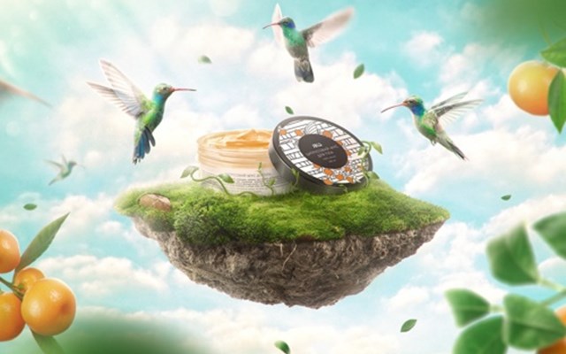 Looma Projet -