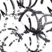 Doreendesign Logo