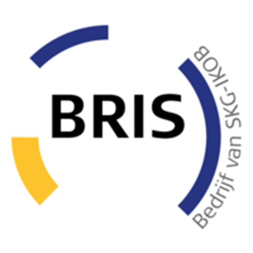 BRIS bvLogo