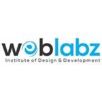 ||+91-9990013009|| Best Web Development Services Company Agency In Faridabad, Near Me Logo