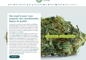 Limbus Studio Projet - site e-commerce greenexperts.fr