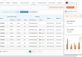 SCALER Software Solutions Projet -
