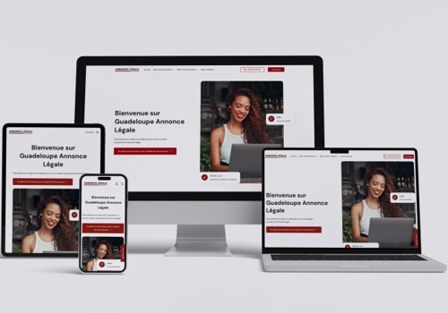 IDNET Projet - Développement de trois sites web de publication d'annonces juridiques