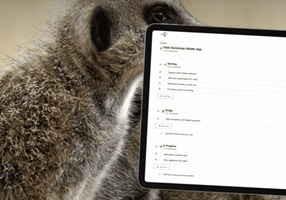 Mecexis Projet - Merkandoo : projets, gestion du temps et fonctionnement de l'équipe
