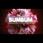 BumBum Communication Logo