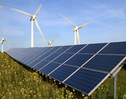 Solway Projet - EcoSubsidy App : financement d’initiatives plus vertes