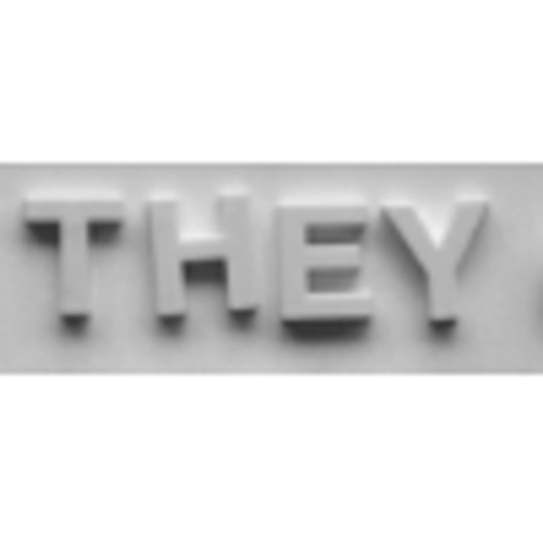 THEYLogo