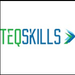 TEQSKILLS Logo