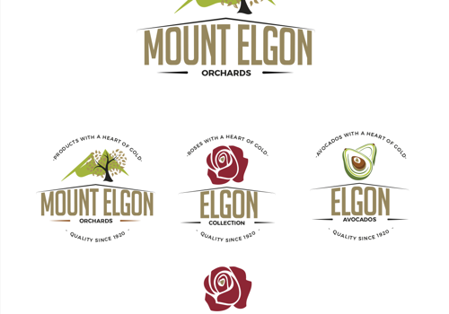 PigWorks Projet -