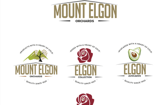 PigWorks Projet -