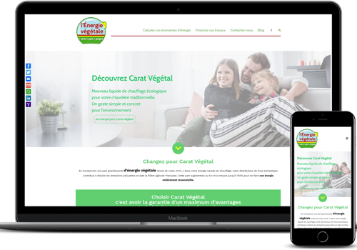 B.RAUX STUDIO Projet - Energie Vegetale