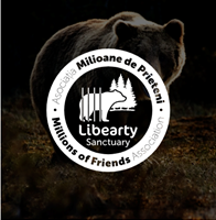 ONLINE HUB Projet - Refonte de l’image de marque et création de site web