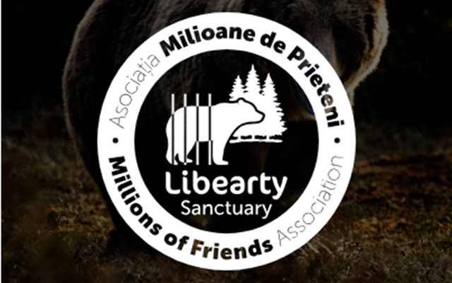 ONLINE HUB Projet - Refonte de l’image de marque et création de site web