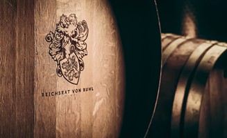 borntocreate GmbH Projet - Refonte de marque et lancement de site web