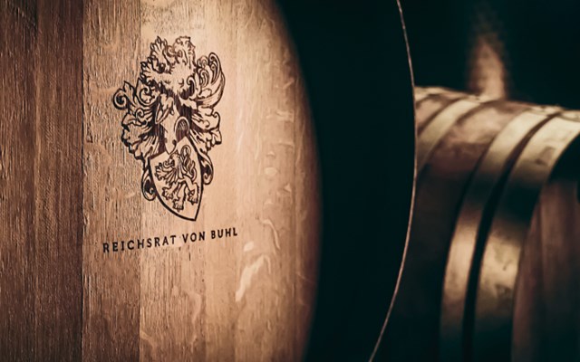 borntocreate GmbH Projet - Refonte de marque et lancement de site web