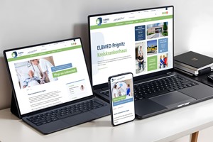 4eck Media | Webdesign & SEO/GEO Projet - Refonte de la marque ombrelle, lancement de 6 sites avec WordPress sur un système MultiSite
