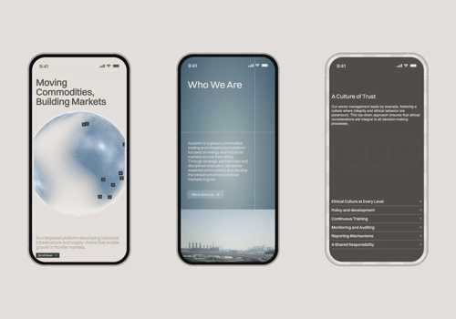 The Brink Agency Projet -