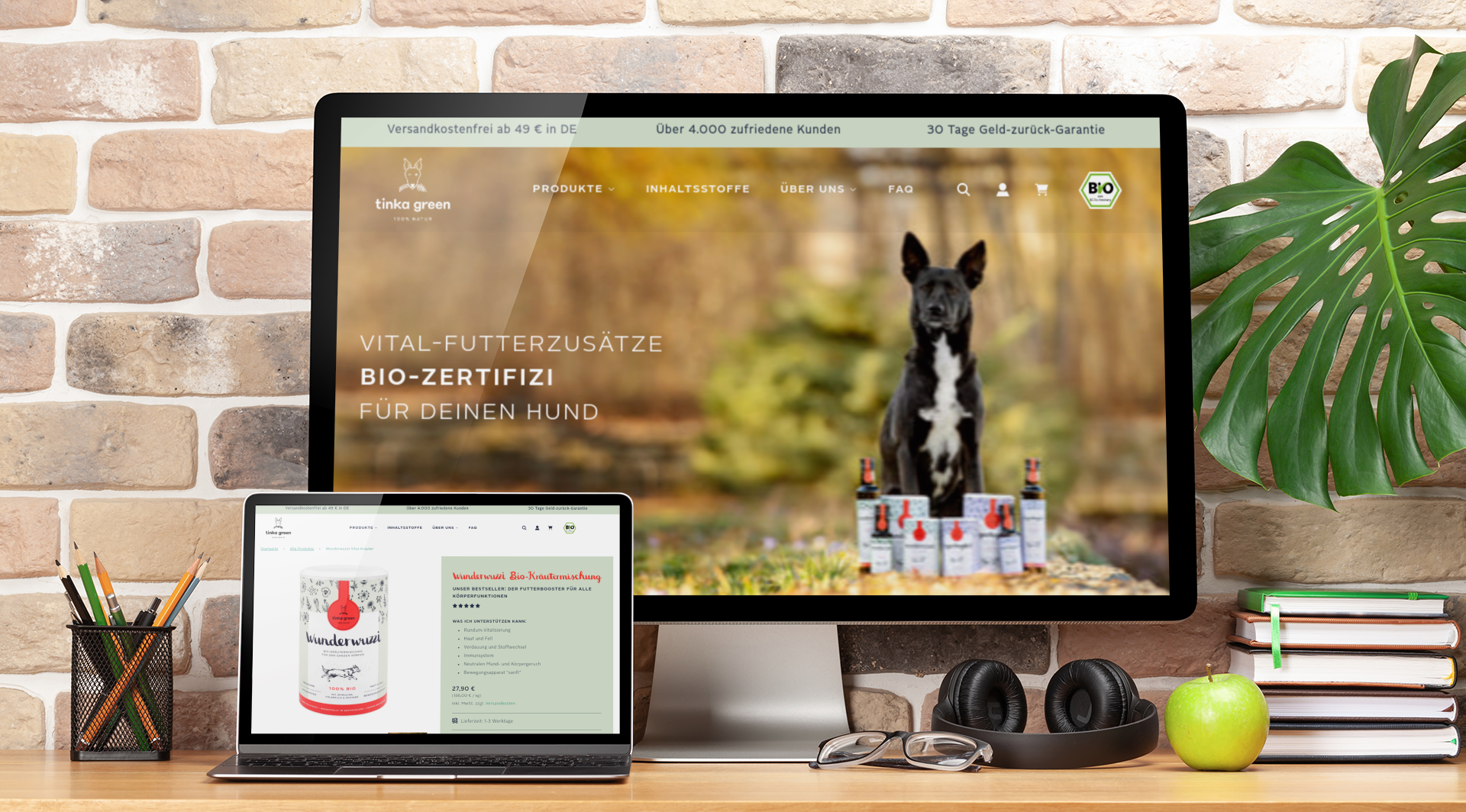 PulseConnect UG Projet -