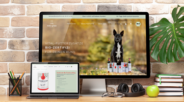 PulseConnect UG Projet - Migration lors de la refonte du site web sur Shopify