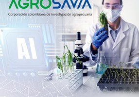 Adintelo Projet - Système de prédiction des engrais utilisant l'IA