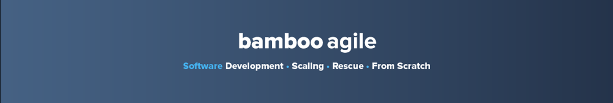 Bamboo AgileCouverture