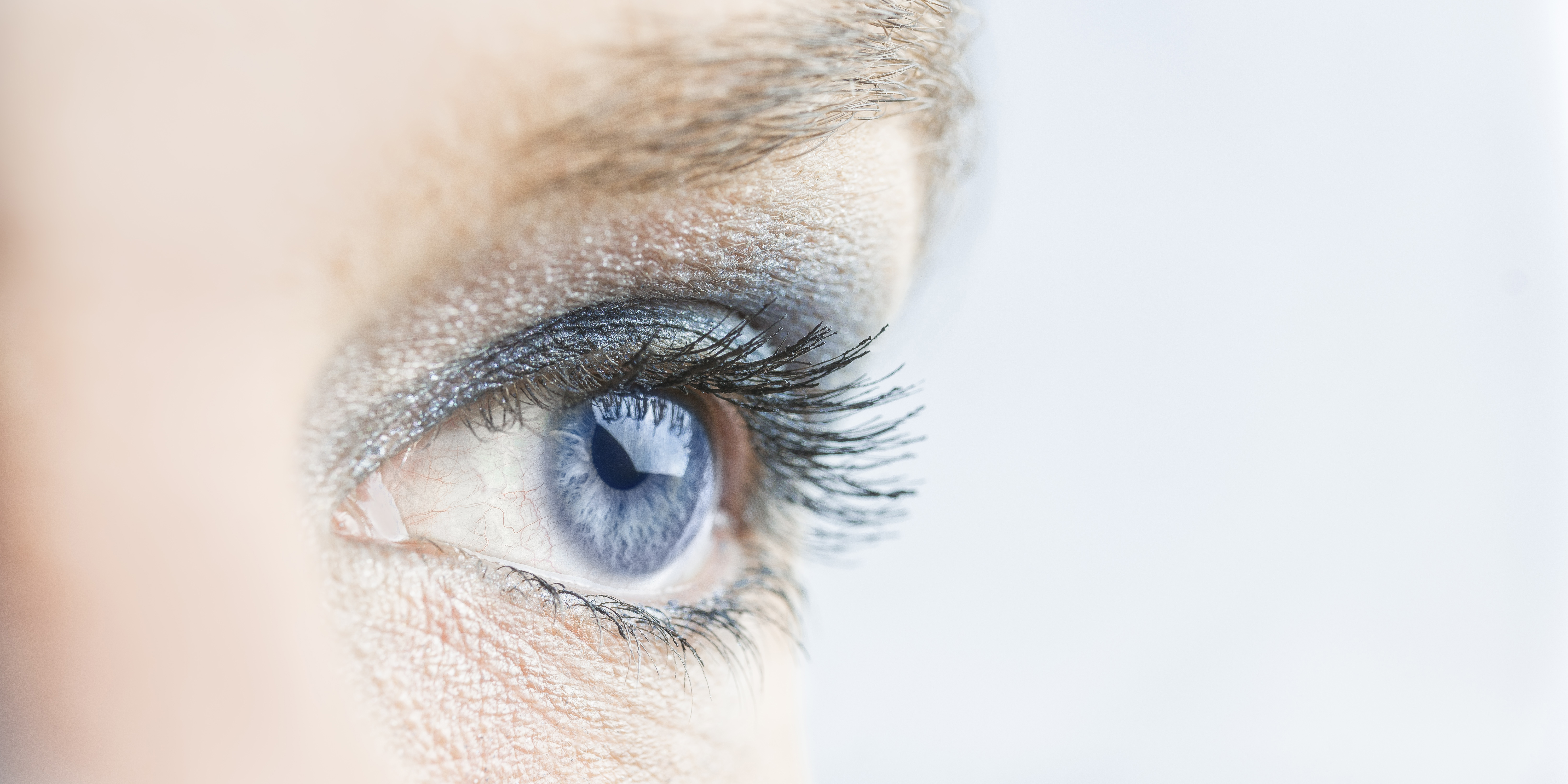 wurster medien Werbeagentur Headerbild