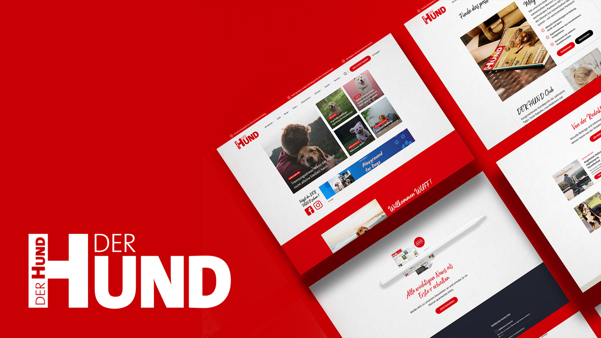 Golden Web Age GmbH Projet -