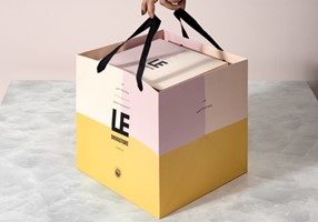 Design & Practice Projet -