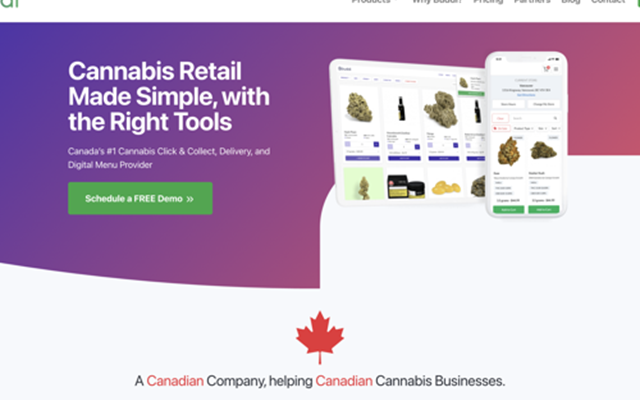 IT Brains Projet - Buddi, plateforme de vente au détail de cannabis tout-en-un