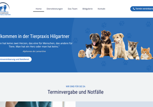 MS WEBDESIGN Projet -