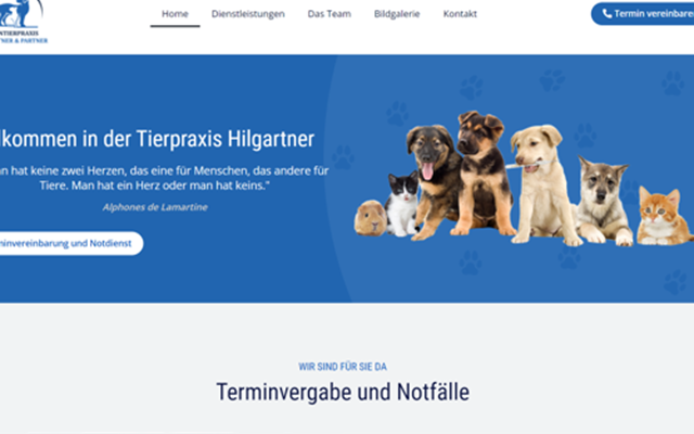 MS WEBDESIGN Projet -