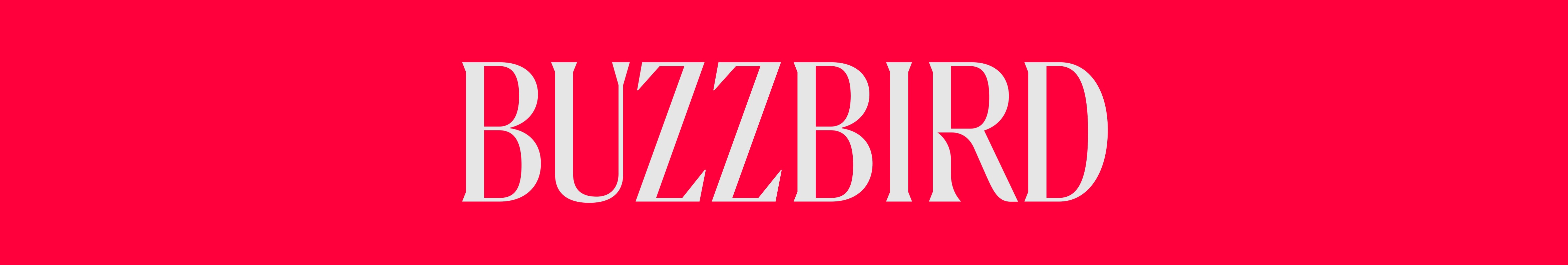 BuzzBird GmbH Headerbild