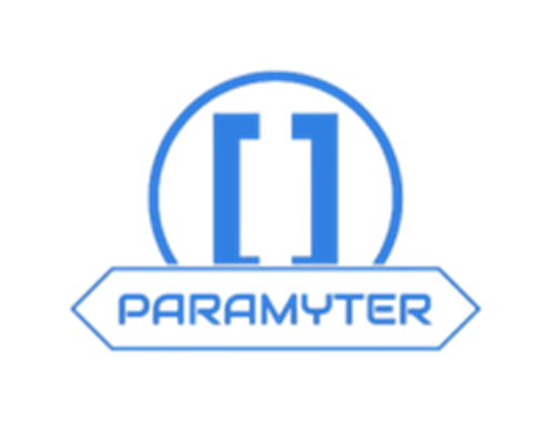 Paramyter TechLogo