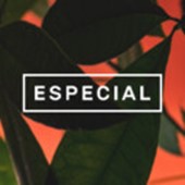 Malte Dietrich | Especial
