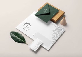 Orange Bird Projet -