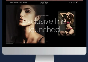 AGENTIE SEO PRO Projet -