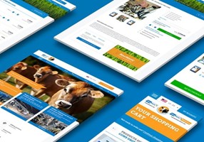 WHITE Digital Agency Projet -