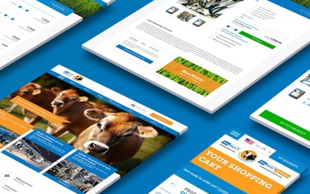 WHITE Digital Agency Projet -