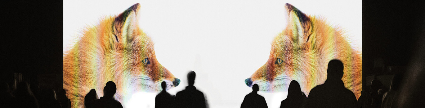 fuxteufelsweb Headerbild