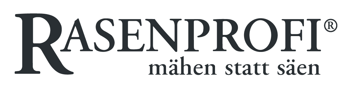 conversionmedia GmbH & Co. KG Projet -