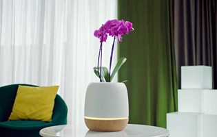 ONMOTIO Projet - KORU air purifier and smart planter