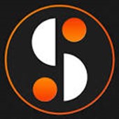 Synarion IT Solutions Logo