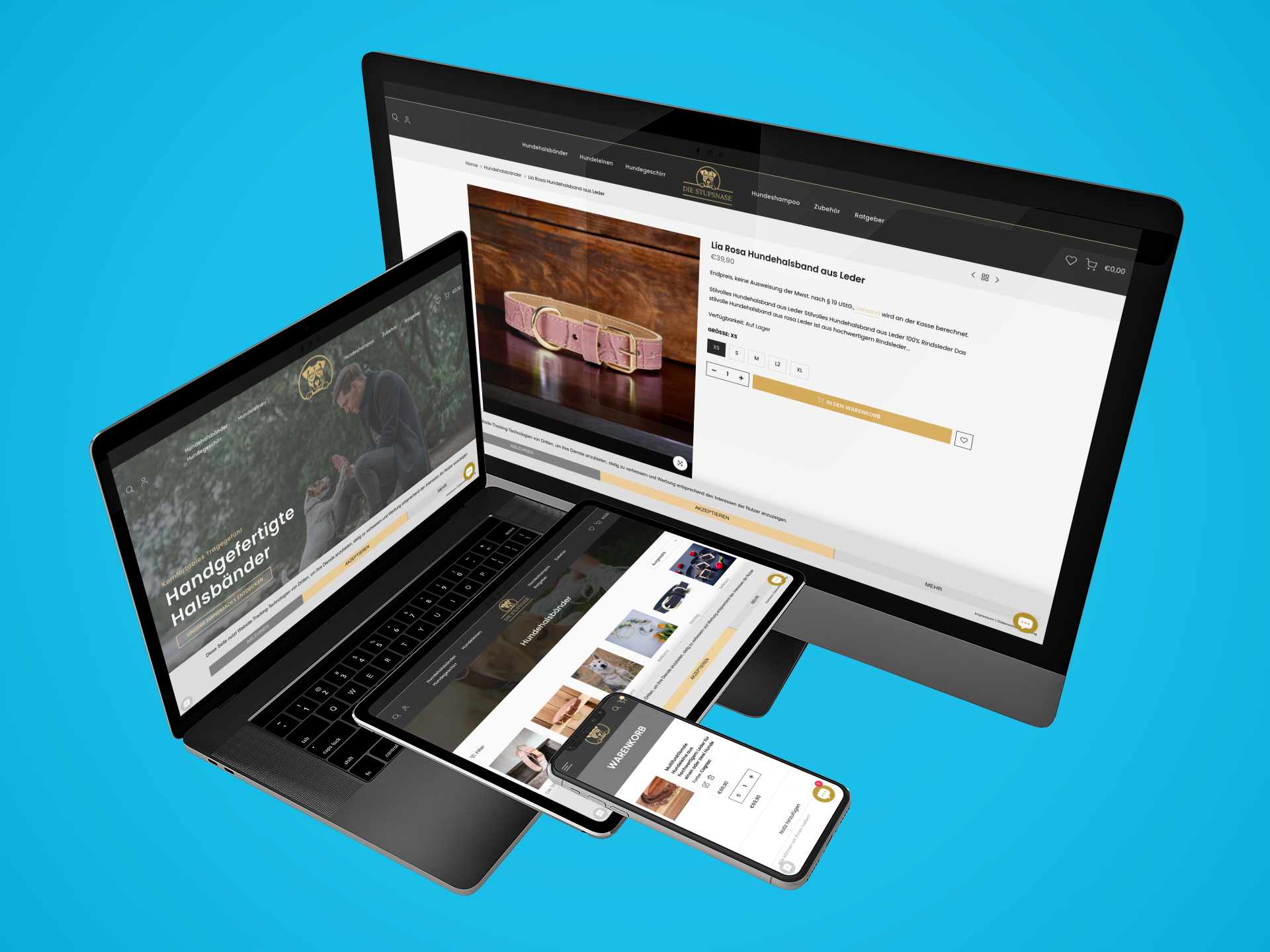 PulseConnect UG Projet -